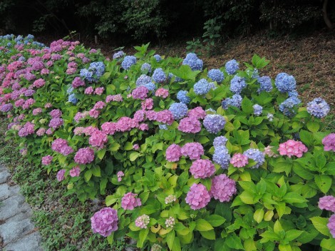 兵庫県立淡路島公園のレポート 兵庫県お出かけブログ