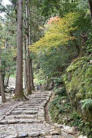 独鈷（どっこ）の滝　「兵庫県丹波市」