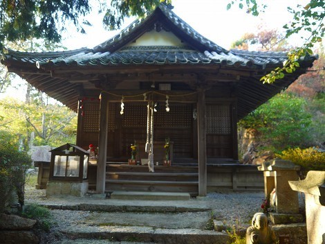 P1070719-thumbnail2.jpg